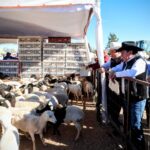 DMA: Entrega maquinaria y apoyos para el fortalecimiento del campo zacatecano