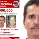 TEMAS PARA REFLEXIONAR