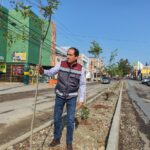 Arranca Pepe Saldívar programa de reforestación en espacios públicos de Guadalupe
