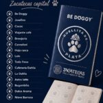 Turismo “Pet Friendly” gana fuerza en Zacatecas Capital