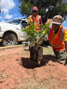 Pepe Saldívar lleva programa de reforestación a Calzada Solidaridad