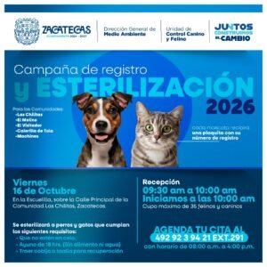 Acerca Ayuntamiento servicios de esterilización a comunidades de la Capital